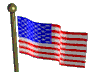 USA Flag